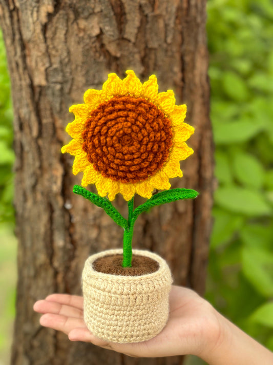 Crochet Vase
