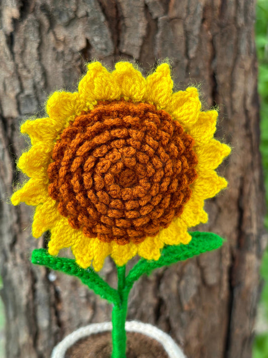 Crochet Vase